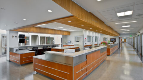 Critical Care Hospitals